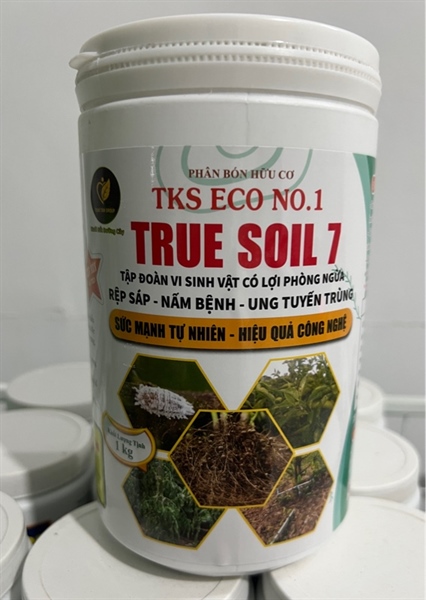 PHÚC ĐẠT - TRUE SOIL 7
